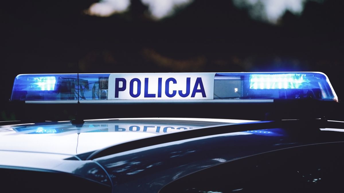 Policja