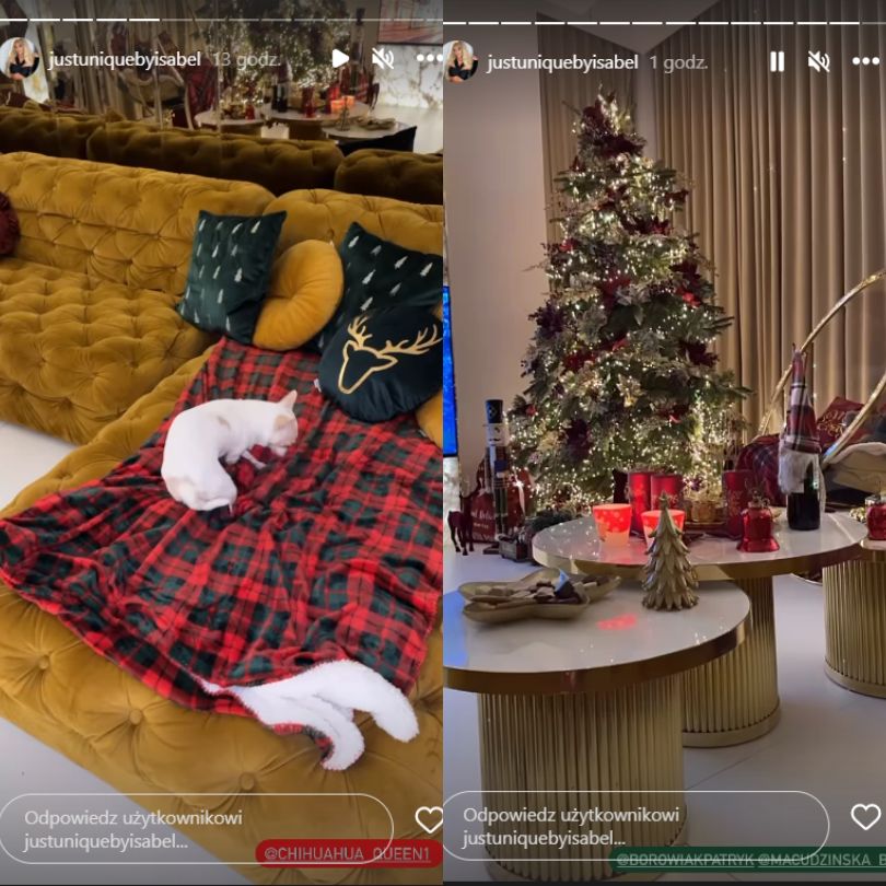Izabela Macudzińska z "Królowych życia" udekorowała dom na święta.