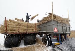 Emerytury rolnicze. Kowalczyk: pracujemy nad nowym rozwiązaniem