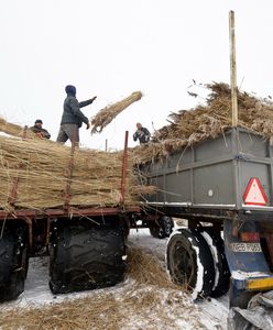 Emerytury rolnicze. Kowalczyk: pracujemy nad nowym rozwiązaniem
