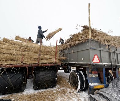 Emerytury rolnicze. Kowalczyk: pracujemy nad nowym rozwiązaniem