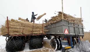Emerytury rolnicze. Kowalczyk: pracujemy nad nowym rozwiązaniem
