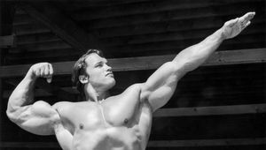 Potężne "chłopy" - rozpoznaj kulturystów, wrestlerów, gwiazdy kina!