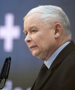 Warzecha: "Zabrałem PiS 500 + i sprawdziłem, co zostało z rządów Kaczyńskiego" (Opinia)