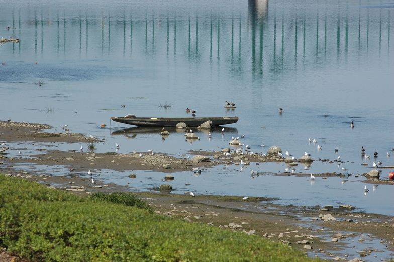 Susza hydrologiczna. W Warszawie nie zabraknie wody