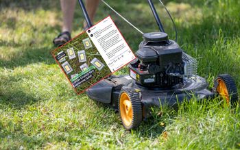 Odkrycie podczas koszenia trawy. Głośno o Niemcu. "280 gramów"