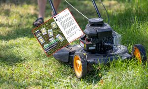 Odkrycie podczas koszenia trawy. Głośno o Niemcu. "280 gramów"