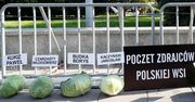 Rolnicy przeciw "piątce dla zwierząt". Położyli pod Sejmem 356 główek kapusty