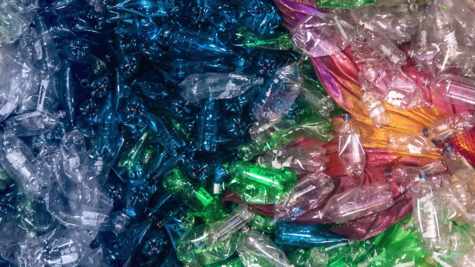 Benjamin von Wong pokazuje, co udało mu się stworzyć z 10 000 plastikowych butelek 2