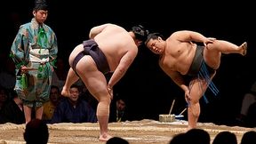 Sumo - historia, zasady, kategorie wagowe