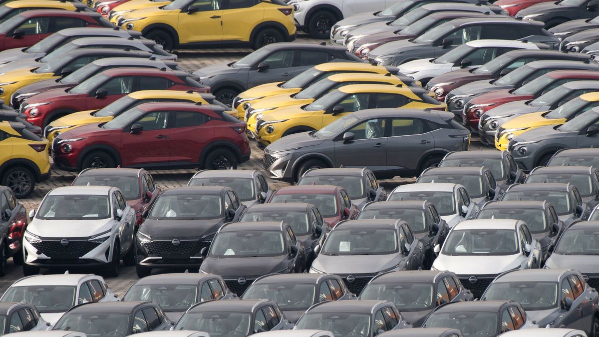 Reporter archiwum 2025 02
13.02.2025 Gdansk Port Gdanski Wolny Obszar Celny WOC Plac skladowyFot. Wojciech Strozyk/REPORTER
Wojciech Strozyk/REPORTER