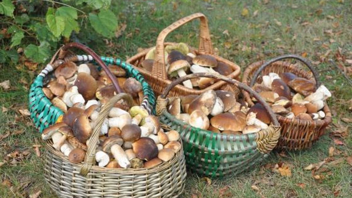 Zdjęcie ilustracyjne.