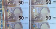 "Hurtownia" fałszywych 50-euro pod Krakowem. CBŚP zlikwidowało magazyn z 13 tysiącami podróbek – 50-latek w areszcie