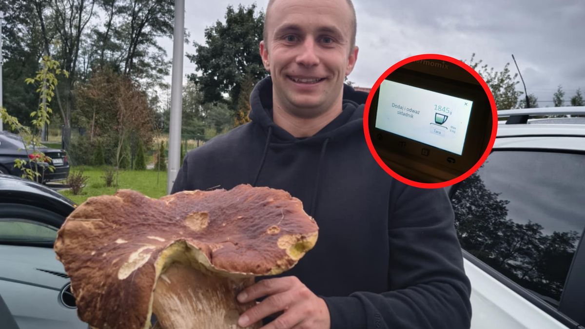 Znalazł gigantycznego borowika.