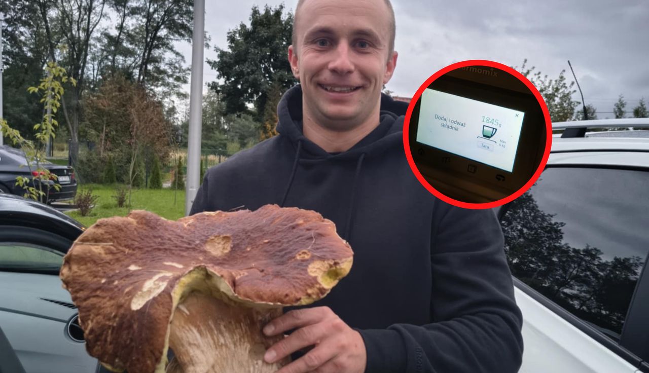 "Ale bydlę". Ujęcie z lasu. Rozgrzał internet do czerwoności