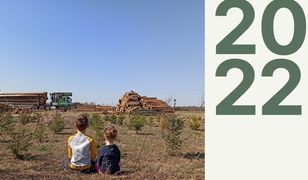 Kalendarz Lasów Państwowych. Na okładce wycinka