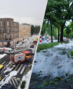 Będzie sztab kryzysowy. Gniezno po nawałnicy, nowe doniesienia