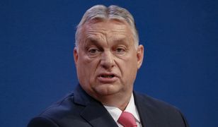 "Mafijne metody". Orban uderza w zagraniczny biznes