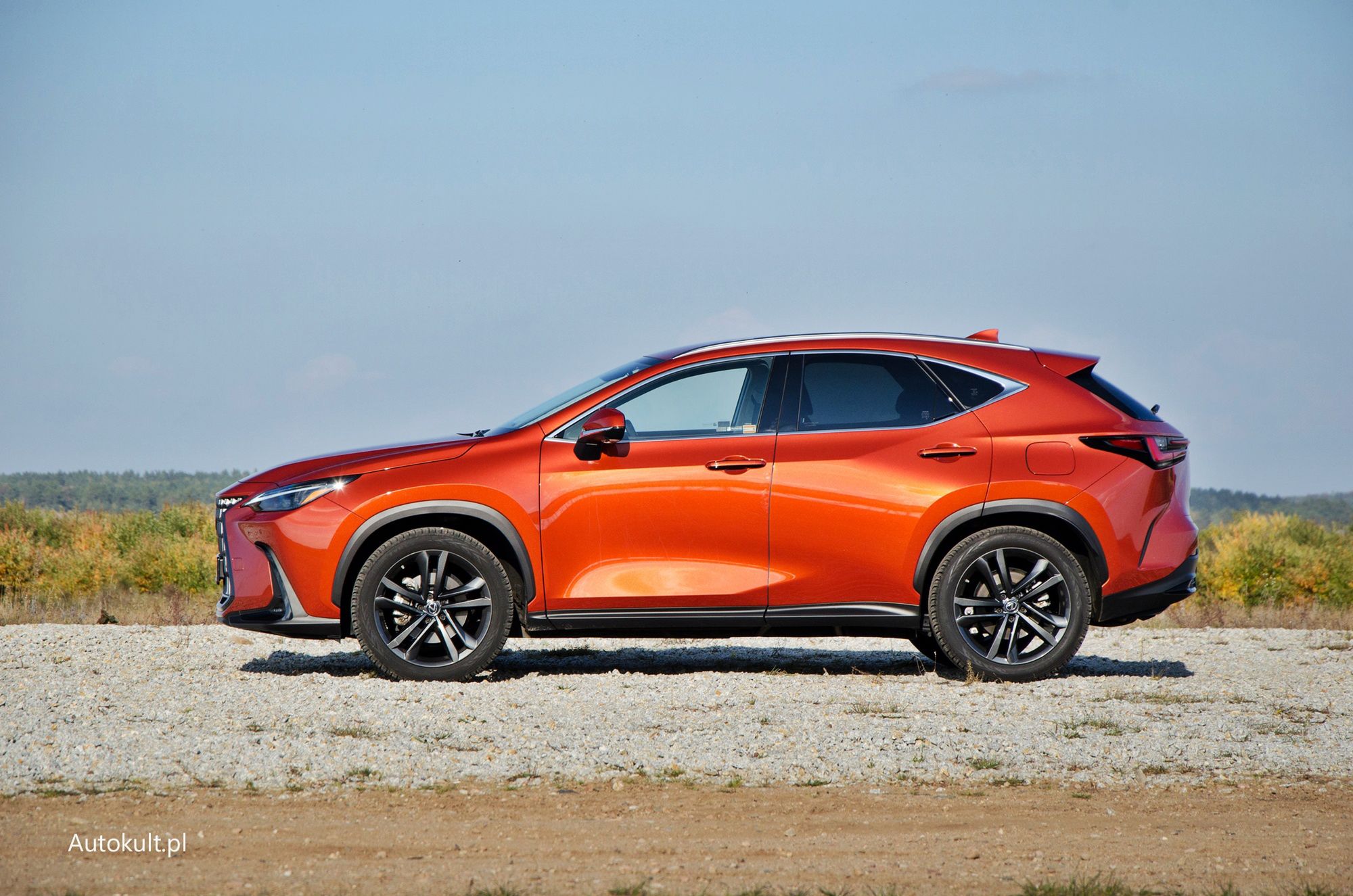 Lexus NX 350h
