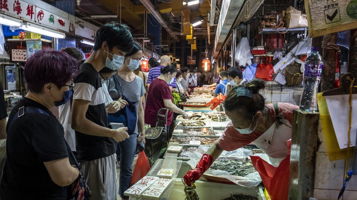 WHO chciałoby zamknięcia targów dzikich zwierząt