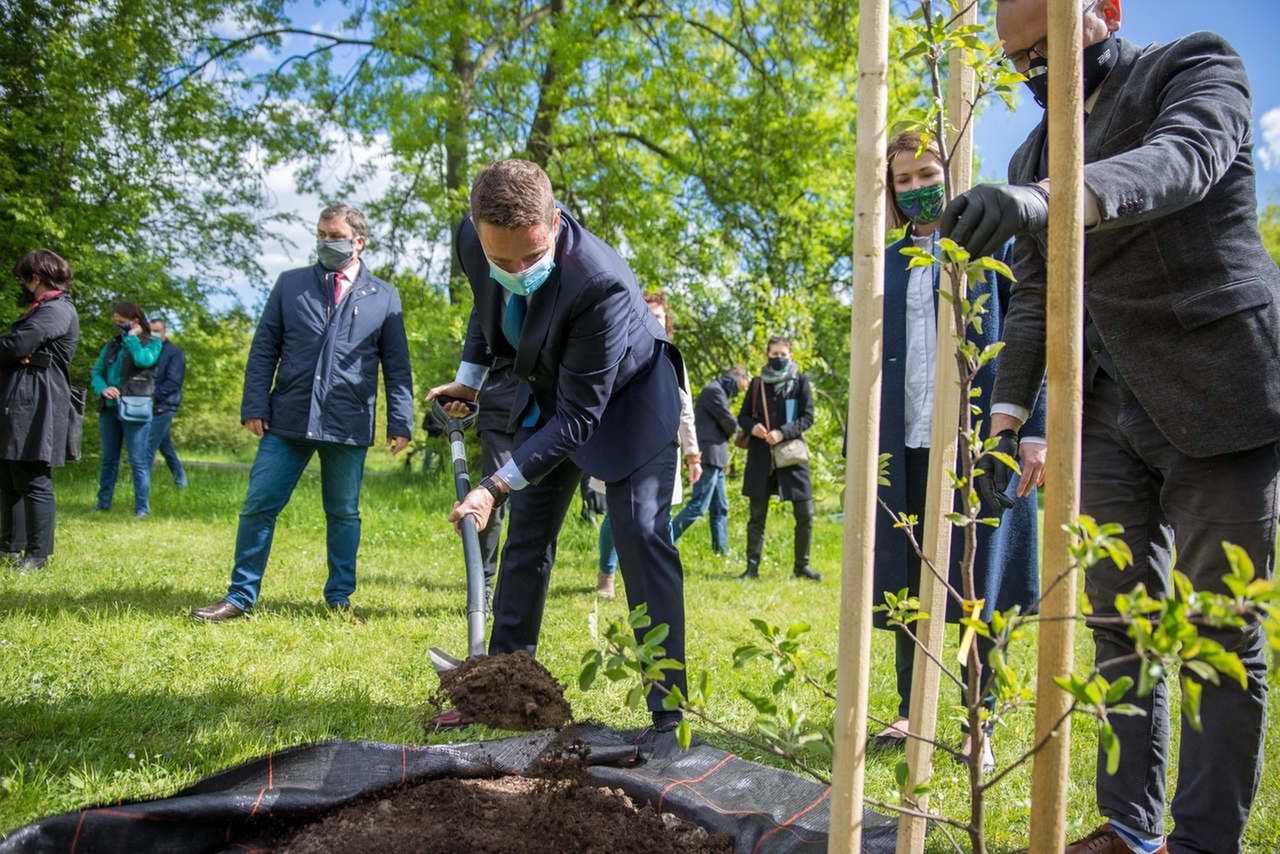 Warszawa. Symboliczne jabłonie na Polach Mokotowskich na święto samorządów