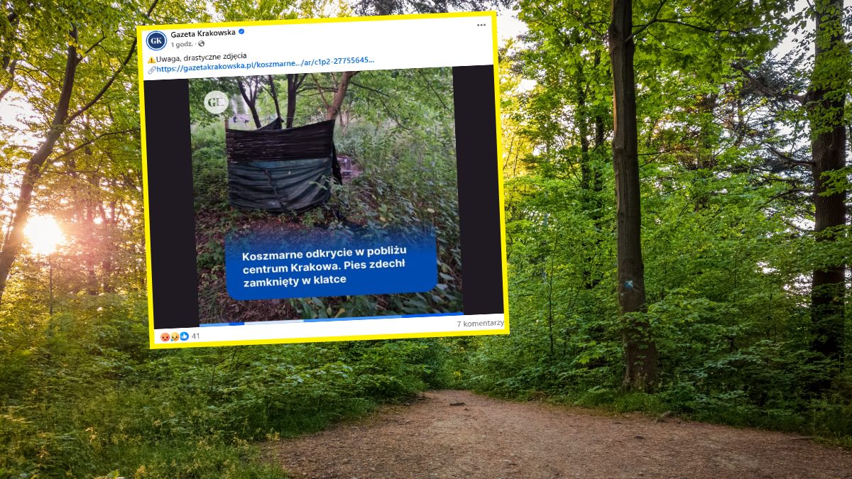 Martwy pies w klatce w Krakowie
