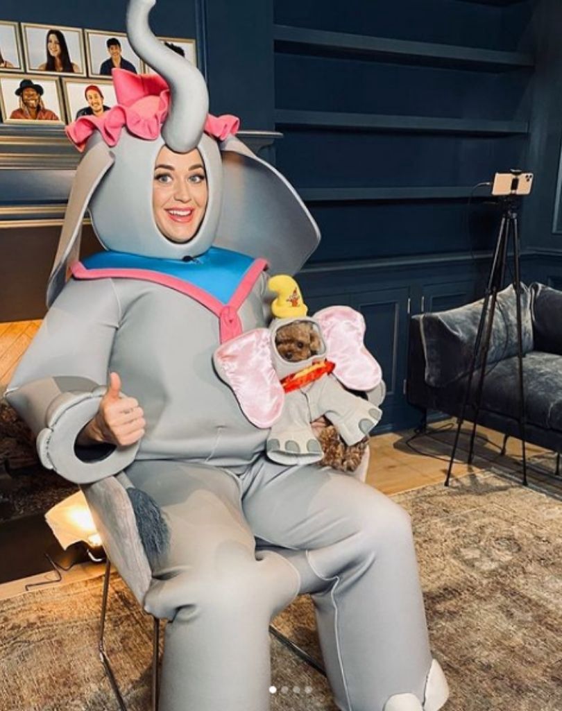 Pies Katy Perry przeszedł na weganizm? 