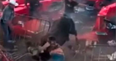 Byk wydostał się z areny. Wstrząsające wideo z nielegalnego rodeo