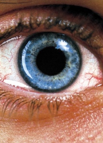 5. Requiem dla snu, 2000