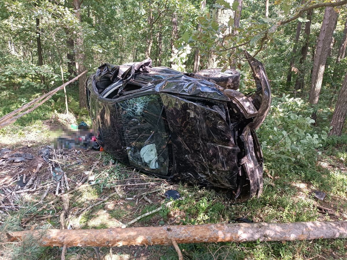 Ojciec pijany, w samochodzie trzylatek. Zdjęcia z wypadku przerażają