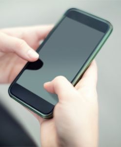 Takiej aplikacji nie ma nigdzie na świecie. Wrocław chce pomóc zwierzętom