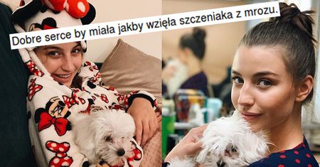 Julia Wieniawa kupiła psa z hodowli? "Dobre serce by miała, jakby wzięła szczeniaka z mrozu"