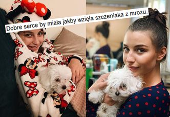 Julia Wieniawa kupiła psa z hodowli? "Dobre serce by miała, jakby wzięła szczeniaka z mrozu"