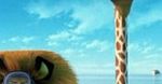 ''Madagaskar 3'': Zobacz pierwszy polski zwiastun [wideo]