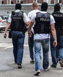 Skazali go z "Krystkiem". "Nie chcę siedzieć za tego knura"