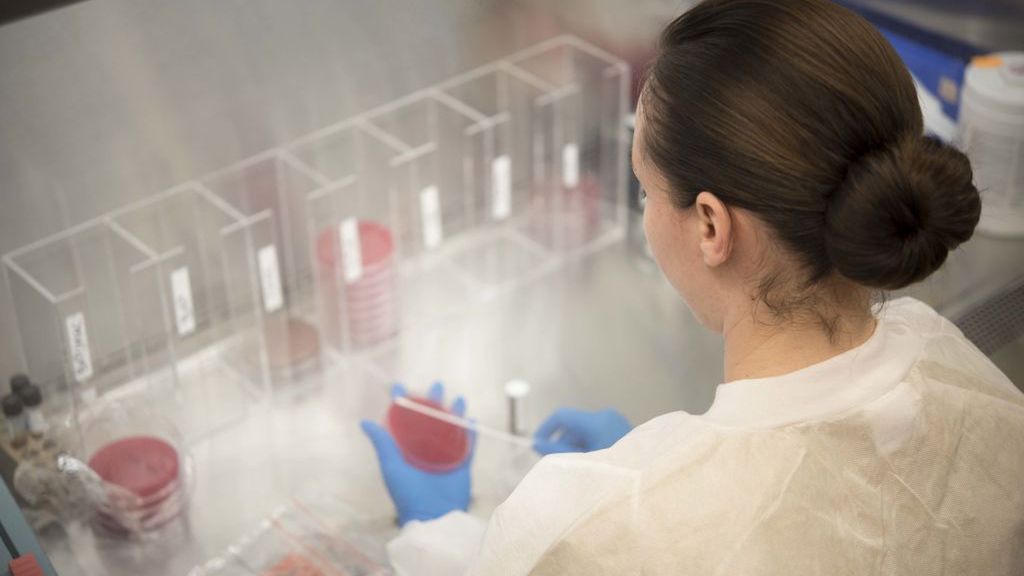 Groźna bakteria w Ukrainie