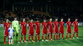 El. ME 2020 na żywo: Armenia - Finlandia na żywo. Transmisja TV, stream online