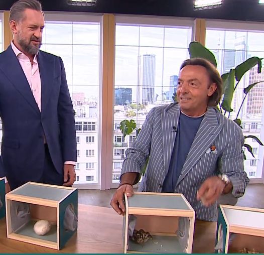 Żarty o "MACANIU GRZYBA" w "DDTVN"