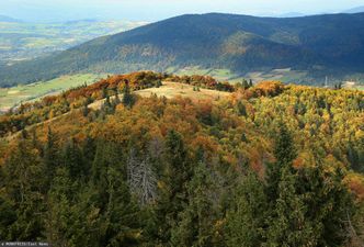 To nie jest samowola. Inwestor dostał zielone światło na budowę na Polanie Stumorgowej