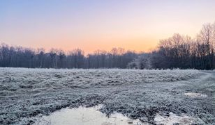 Pogoda na najbliższe dni. Zimne powietrze spłynie do Polski. Pojawią się przymrozki i opady śniegu