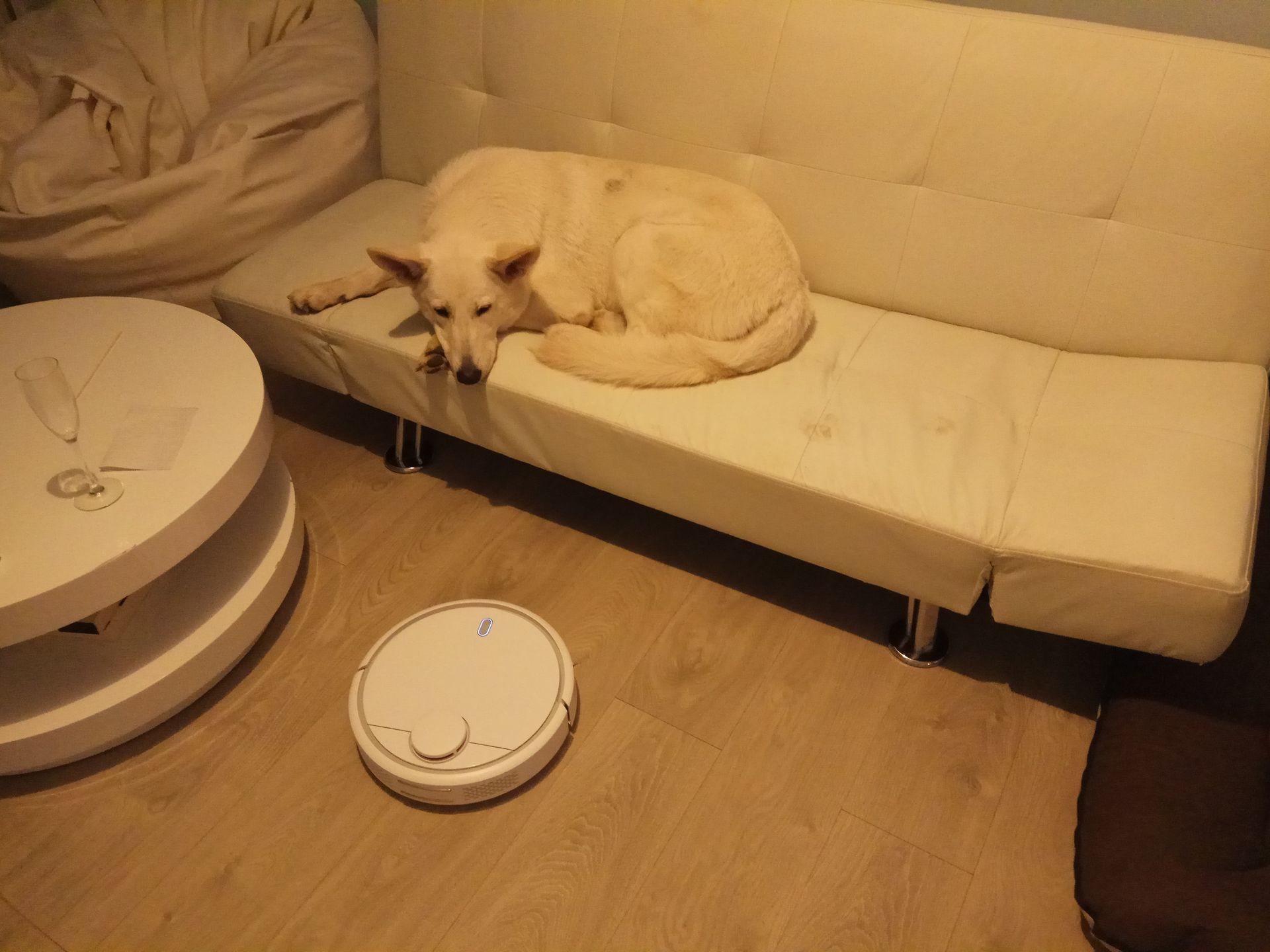 Xiaomi Mijia (Mi Robot Vacuum) – test bardzo bystrego robota sprzątającego 9