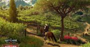 Wiedźmin 3: Krew i Wino – gramy w 1080p na taniej karcie graficznej