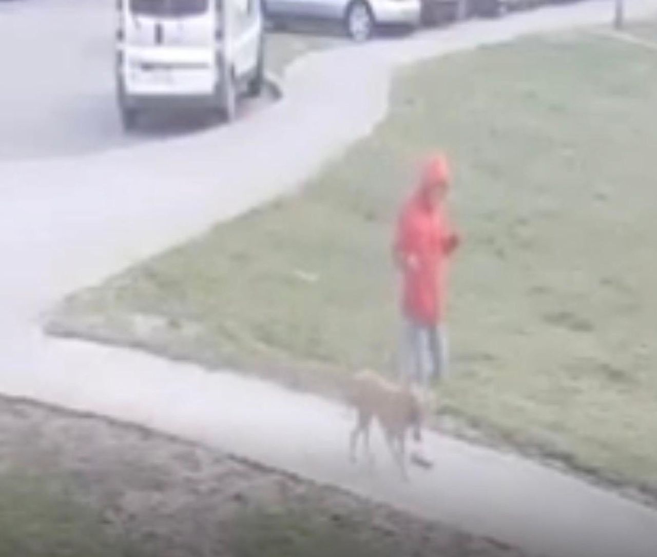 Wyszedł z psem. Rozpoznajesz tego mężczyznę?