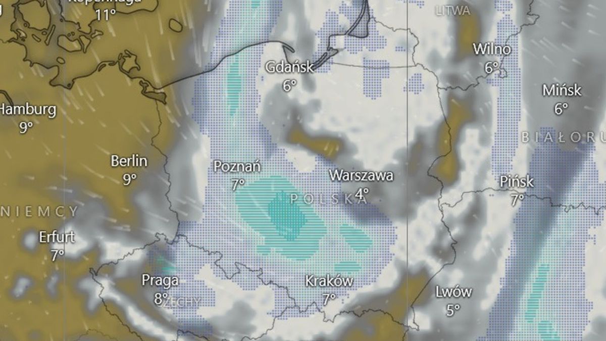 Kiedy skończą się przymrozki? Padła data