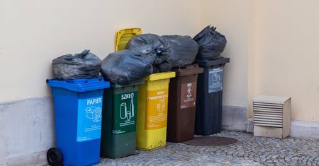 1000 zł rocznie za śmieci? Ekspert rysuje katastrofalny scenariusz