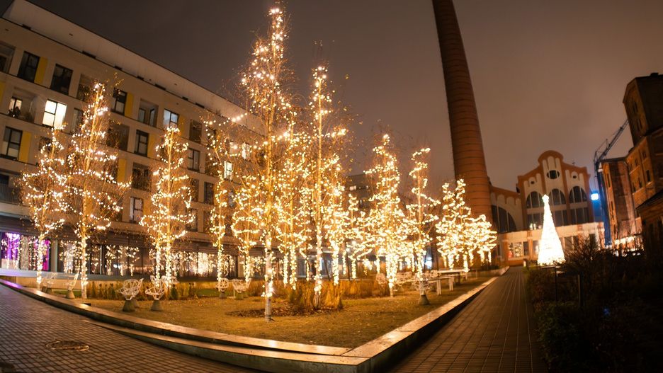 Świąteczna Fuzja robi wrażenie