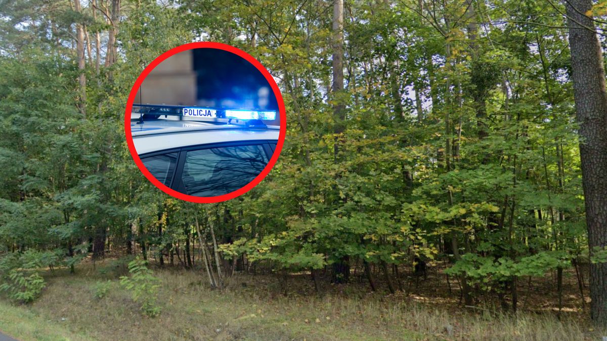 Marek M. stracił życie w lesie.