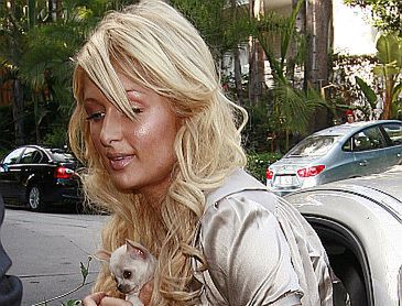 Paris Hilton nie dostanie spadku!