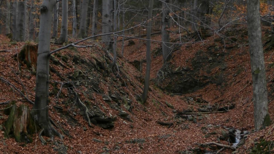 W Beskidach panują dobre warunki do uprawiania pieszych wędrówek.