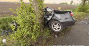 19-latka nie żyje. Ogromna tragedia koło Malborka